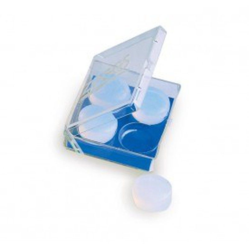 ZOGGS SILICONE EAR PLUGS CLEAR