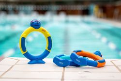 Zoggs Zoggy Dive Rings Assorted